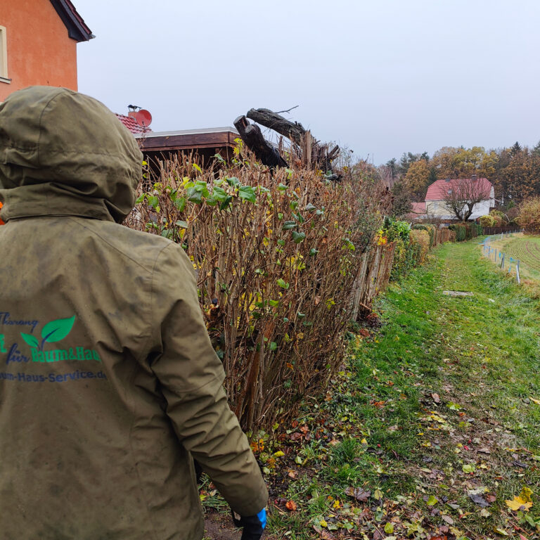 Mitarbeiter mit Regenjacke beim Kundenauftrag Wildhecke
