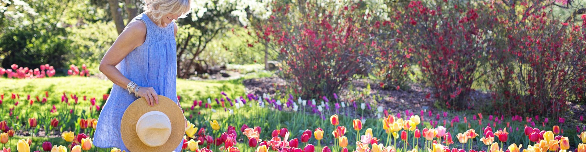 tulpenwandeln-16-9